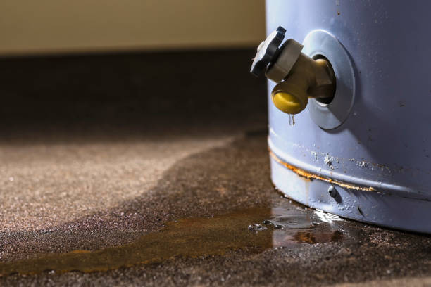Best Emergency water damage restoration  in Ash Grove, MO