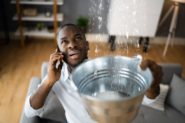 Best Flood damage cleanup  in Ash Grove, MO