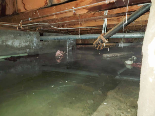 Best Residential water damage restoration  in Ash Grove, MO