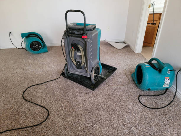 Best Fire Damage Restoration  in Ash Grove, MO