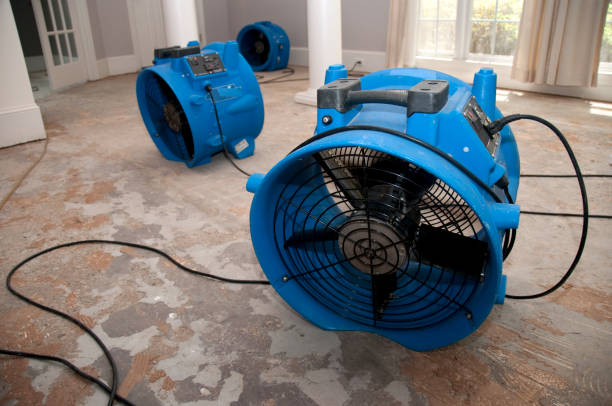Best Water damage restoration near me  in Ash Grove, MO