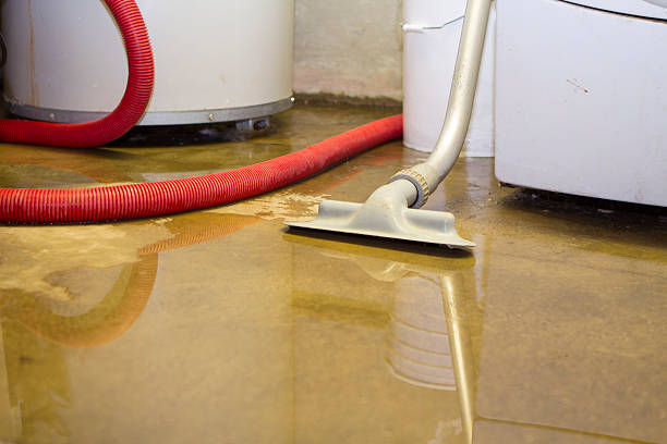 Trusted Ash Grove, MO Water damage restoration Experts