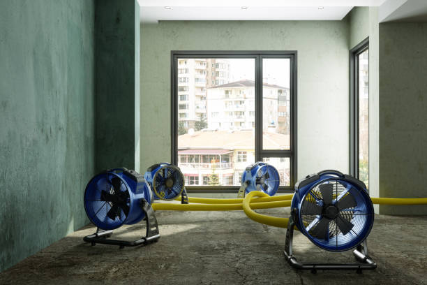 Best Water damage restoration cost  in Ash Grove, MO